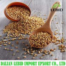 2016 good quality  roasted   buckwheat   kernel s