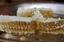 acacia honey