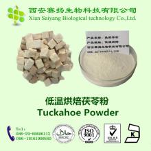 Factory 100% natural pure Poria cocos powder