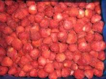 IQF Frozen Whole Strawberry Fruit Export