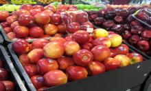 Fresh Apple
