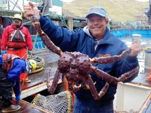 Fresh/Frozen/Live Red King  Crab s,  Soft   Shell   Crab s, Blue Swimming  Crab s & Snow  Crab s for Sale