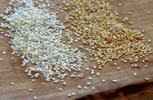 Sesame Seed