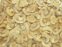 Canned Mushroom Agaricus