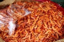 Dried Shrimp