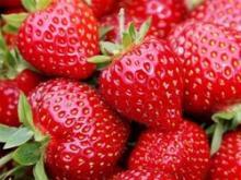 Strawberry whole Grade A new crop