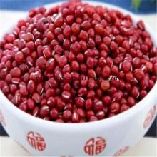 Chinese Adzuki bean