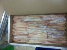 Frozen Alaska Pollock fillet Blocks