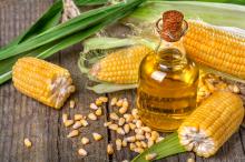corn oil