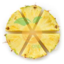 High Quality and Nutrition IQF Pineapple tidbits from Vietnam