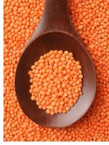 LENTILS