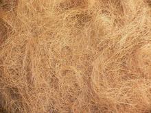  COCONUT   FIBER 