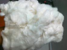 Raw Cotton, Surgical Cotton, Cotton Comber Noil, Cotton Wool