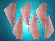 frozen seafood  atlantic   red   fish 