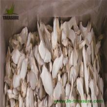 dry pleurotus eryngii made in China
