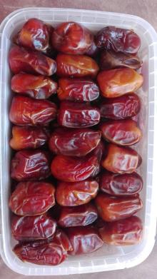 fresh  dates  suppliers,semi  dry   dates  egypt