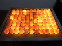 Broiler Cobb 500 & Ross 308 Chicken Eggs