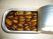  Canned   Oyster s