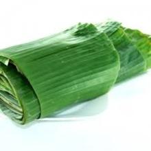 Fresh/Frozen Banana Leaf from Thailand