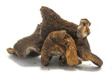 Dried  Porcini  Mushrooms