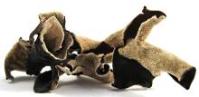 Dried Wood  Ear   Mushroom s