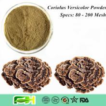 NOP & EOS Certified Organic Rainbow Conk , Trametes Versicolor , Coriolus Versicolor Powder
