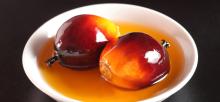  palm   kernel  oil