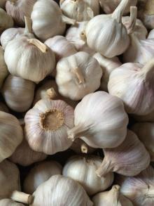 2017 new  crop   Normal   White   Fresh   Garlic ,  Fresh   Garlic  From China