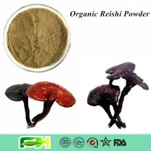 NOP & EOS Certified Organic Lingzhi , Ganoderma Lucidum , Reishi Mushroom Powder