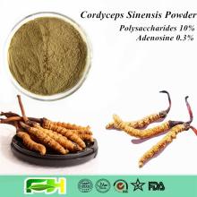 Natural Chongcao , Cordyceps , Cordyceps Sinensis Powder