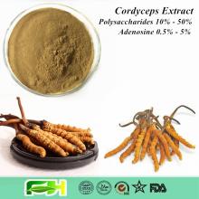  Natural  Dong Chong Xia Cao ,  Cordyceps  Sinensis ,  Cordyceps   Extract 