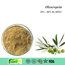 Natural Anti-oxidant Olive Leaf  Extract   Oleuropein  10%-80%
