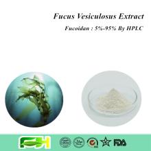 Natural Seaweed Extract Skin Whitening Fucoidan