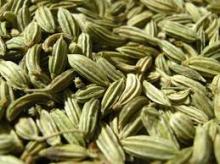fennel seed spice