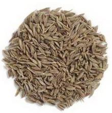 High quality cumin powder/cumin powder extract/cumin seed powder