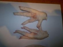 Grade A Frozen Chicken Feet