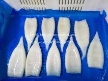 Premium Squid Tube