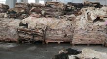 DRIED AND WET DONKEY HIDES