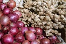 Fresh Vegetable (Garlic , Ginger, Onion, Potato,Carrot)