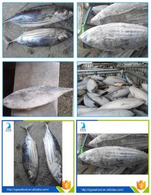 Sea Food  WR   Tilapia  Black  Tilapia  Fish