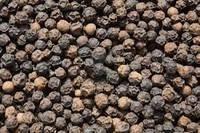 Organic Black Pepper/White Pepper/Cardamom/Chickpeas/Green Mung Beans