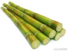 Cane Sugar