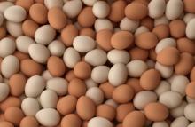  Fresh   Brown   Chicken   Eggs 