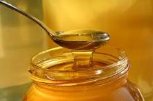 Cream White and Brown Honey Pure Quality Export