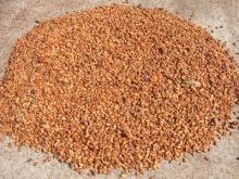 Dried Raw Cocoa Beans