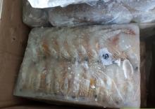 Frozen white shrimp