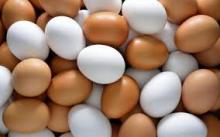 Fresh White and brown Eggs