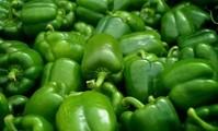 Green Bell Pepper