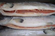 Frozen Atlantic Norwegian Salmon