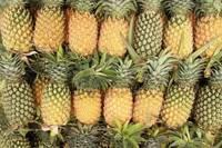  Pineapple s ,  Peaches  , Pears , Guavas